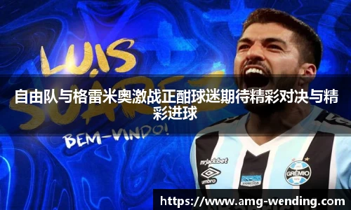 问鼎娱乐官网